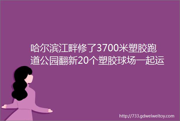 哈尔滨江畔修了3700米塑胶跑道公园翻新20个塑胶球场一起运动吧